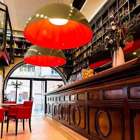 Hotel Le Pere Leon Tuluza